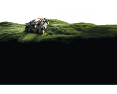 Mähroboter auf einer Rasenfläche