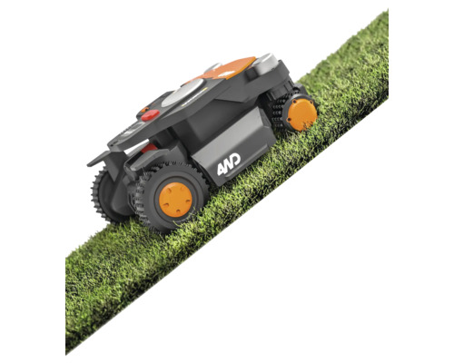 Mähroboter auf Rasen