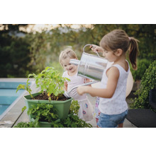 Zwei Kinder gießen Pflanzen in einem Pflanzgefäß mit einer Gießkanne