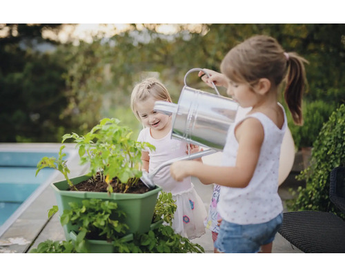 Zwei Kinder gießen Pflanzen in einem Pflanzgefäß mit einer Gießkanne