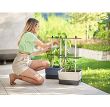 Frau arbeitet im Garten mit Pflanzen in Pflanzkästen mit Rankhilfe.