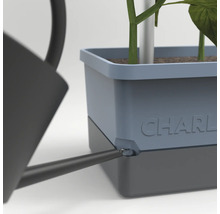 Detailaufnahme einer Gießkanne beim Bewässern eines CHARLY Pflanzgefäßes mit Pflanze.