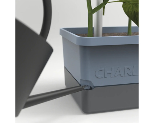 Detailaufnahme einer Gießkanne beim Bewässern eines CHARLY Pflanzgefäßes mit Pflanze.