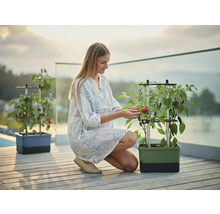 Frau erntet Gemüse in einem Urban Gardening Pflanzkasten auf einer Terrasse.