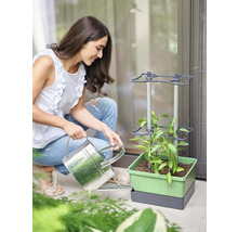 Frau gießt Pflanze im vertikalen Beet mit Gießkanne