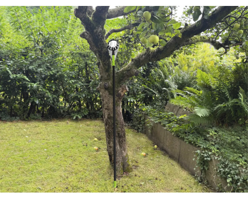 Apfelpflücker im Einsatz unter einem Apfelbaum im Garten
