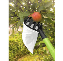 Apfelpflücker im Einsatz an einem Baum