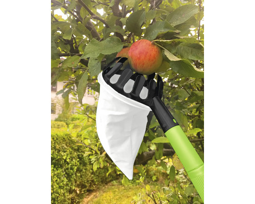 Apfelpflücker im Einsatz an einem Baum