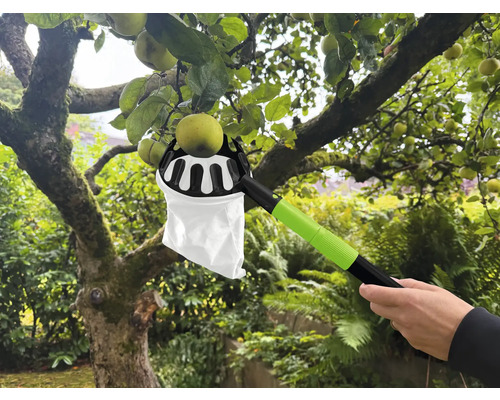 Apfelpflücker im Einsatz zum Ernten von Äpfeln an einem Baum.