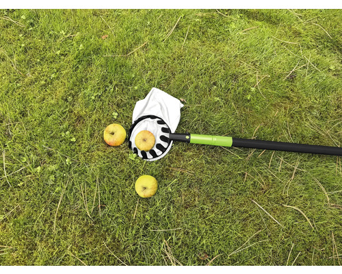 Apfelpflücker mit Äpfeln auf einer Wiese