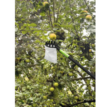 Apfelpflücker im Einsatz an einem Apfelbaum