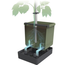 Illustration eines Tomatenzuchtsets mit Bewässerungssystem