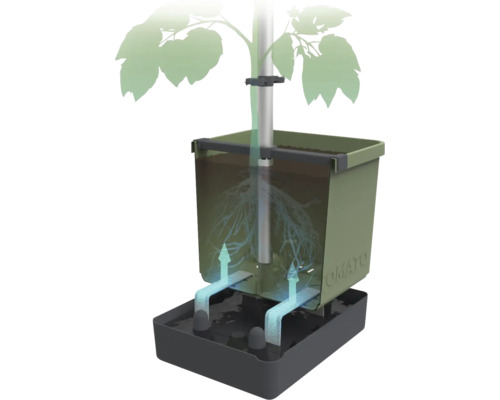 Illustration eines Tomatenzuchtsets mit Bewässerungssystem