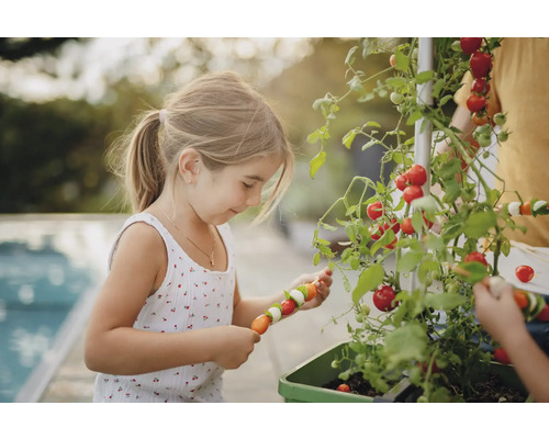 Mädchen erntet Tomaten und macht Gemüsespieße in einem Hochbeet