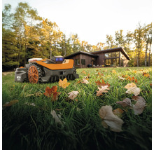 Rasenmähroboter auf Rasen vor einem Haus