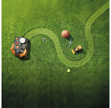 Rasenfläche mit Mähroboter, Basketball, Gartenschere und Spielzeugbagger