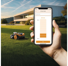 Handy mit App zur Schnitthöheneinstellung eines Rasenmähroboters auf einem Rasen