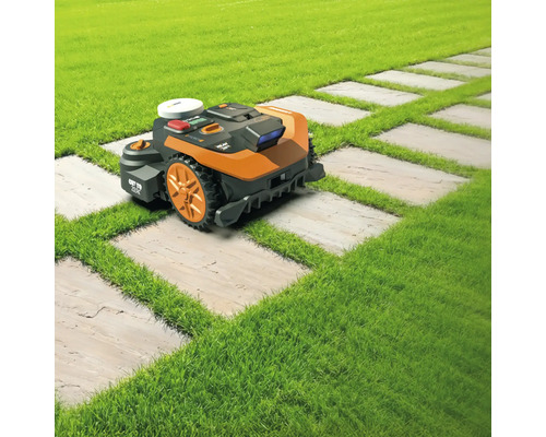 Rasenmähroboter auf Rasen und Steinplattenweg