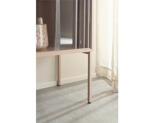 Detailaufnahme eines Schranks mit Glastüren und einer Vase