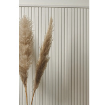 Dekorative Gräser vor einer Paneelwand