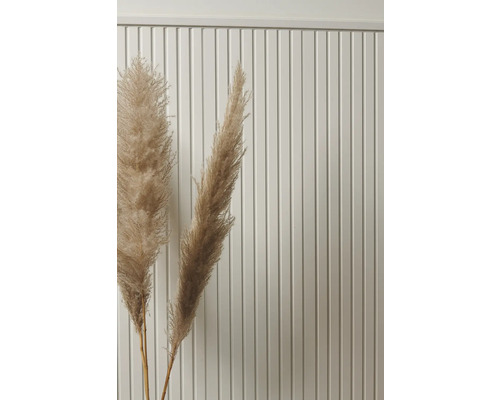 Dekorative Gräser vor einer Paneelwand
