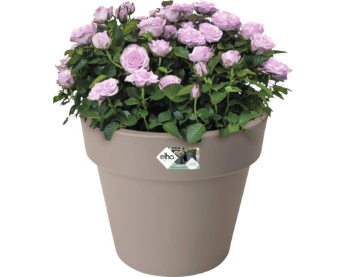 Rosa im Topf aus recyceltem Material