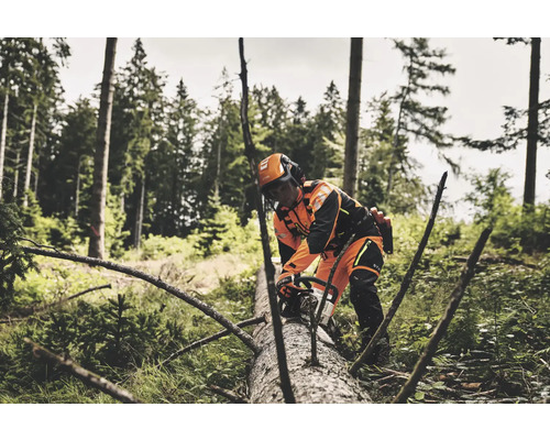 Forstarbeiter mit Kettensäge beim Baumfällen im Wald.