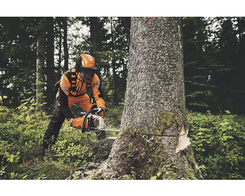Mann mit Schutzkleidung und Helm sägt einen Baum mit einer Kettensäge