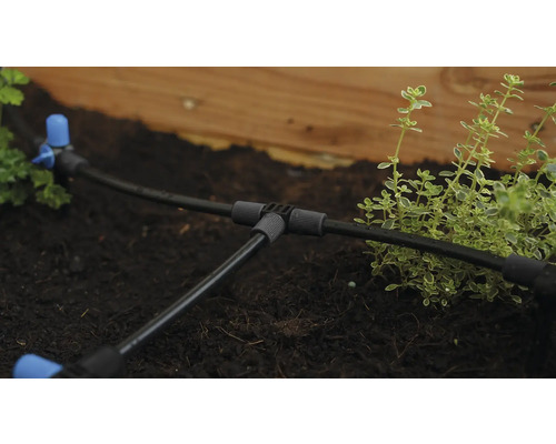 Bewässerungssystem mit Tropfschlauch im Gartenbeet zur Pflanzenbewässerung