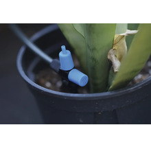 Tropfbewässerungssystem für Pflanzen im Topf