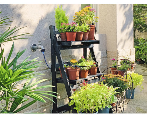 Blumen auf einem Regal und in Töpfen im Freien.