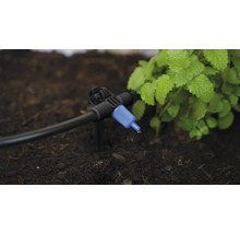 Tropfbewässerungssystem für Pflanzen im Garten.