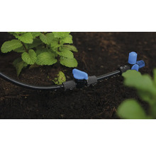 Bewässerungssystem mit Tropfschlauch zur Pflanzenbewässerung