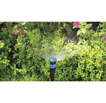 Gartensprenger im Einsatz zur Bewässerung von Pflanzen