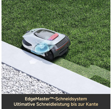 Rasenmähroboter auf Rasen neben einer Steinbegrenzung
