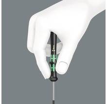 Eine Hand hält einen Wera Schraubendreher