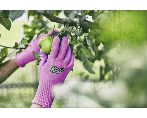 Nahaufnahme von Händen in Gartenhandschuhen, die einen Apfel pflücken