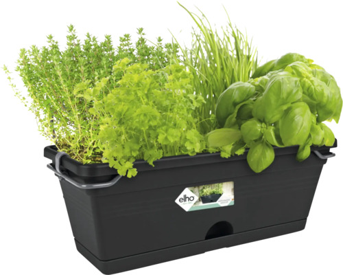 Schwarzer Pflanzkasten mit verschiedenen Kräutern