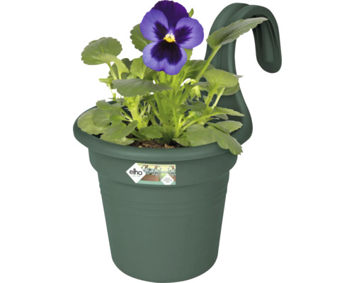 Hängetopf mit Veilchenblüte und Elho Logo