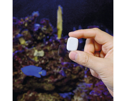 Eine Hand hält einen kleinen weißen Smart-Home-Sensor vor einem Aquarium.