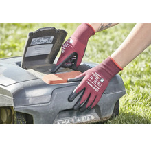 Eine Person mit Gartenhandschuhen bedient einen Rasenmähroboter.