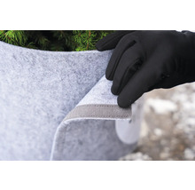 Eine Hand mit Handschuh befestigt einen Wurzelschutzsack an einer Pflanze.