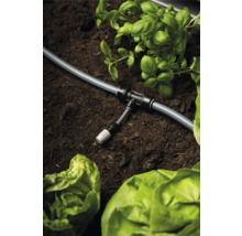 Bewässerungssystem mit Schlauch, T-Stück und Pflanzen im Gartenbeet