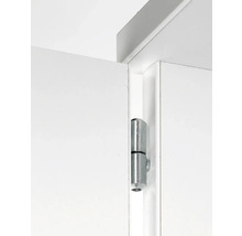 Tür mit Metallscharnier