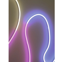 Flexibler LED-Streifen in geschwungener Form mit farbigem Licht.