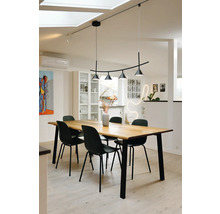 Moderner, heller Essbereich mit einem großen Esstisch aus Holz, schwarzen Metallstühlen und einer bogenförmigen Pendelleuchte.