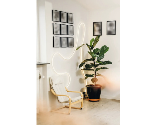Moderner Wohnbereich mit hellem Sessel, großer Zimmerpflanze im Topf und einem geschwungenen LED-Lichtstreifen an der weißen Wand.