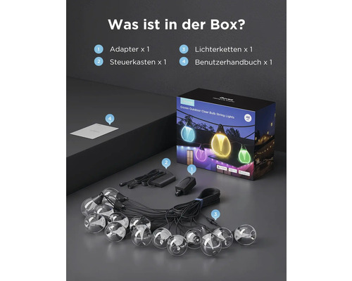 Inhalt der Verpackung der Govee Outdoor Lichterkette mit klaren Glühbirnen: Adapter, Steuerkasten, Lichterkette und Bedienungsanleitung.