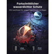 Dekorative Glühbirnen mit IP67-Zertifizierung für den Einsatz im Regen, IP65-Steuerbox und IP44-Adapter.