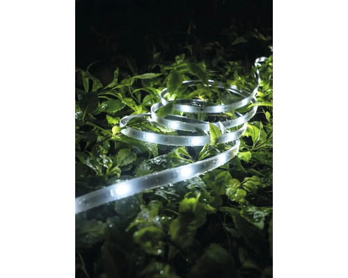 LED-Lichtschlauch auf Grünpflanzen